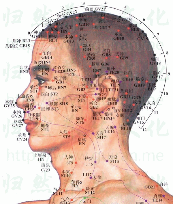 络却穴：膀胱经(图文)