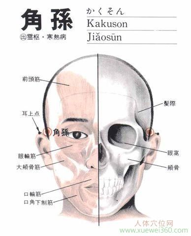 角孙穴
