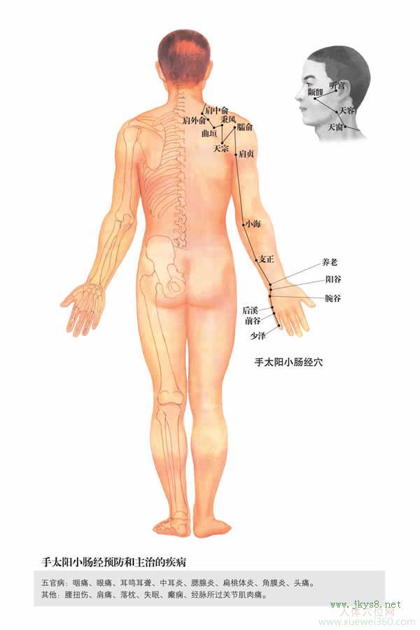 阳谷穴：小肠经(图文)