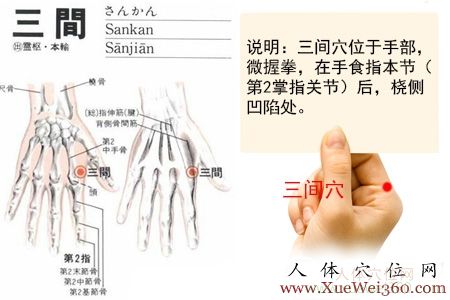 三间穴位位置图