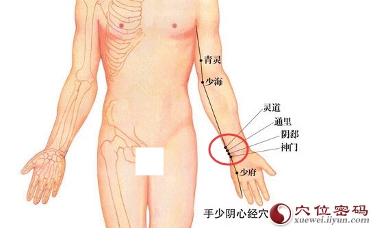 神门穴、阴郄、通里、灵道，四个穴位的准确位置图