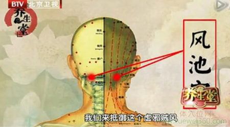 风池穴的位置图