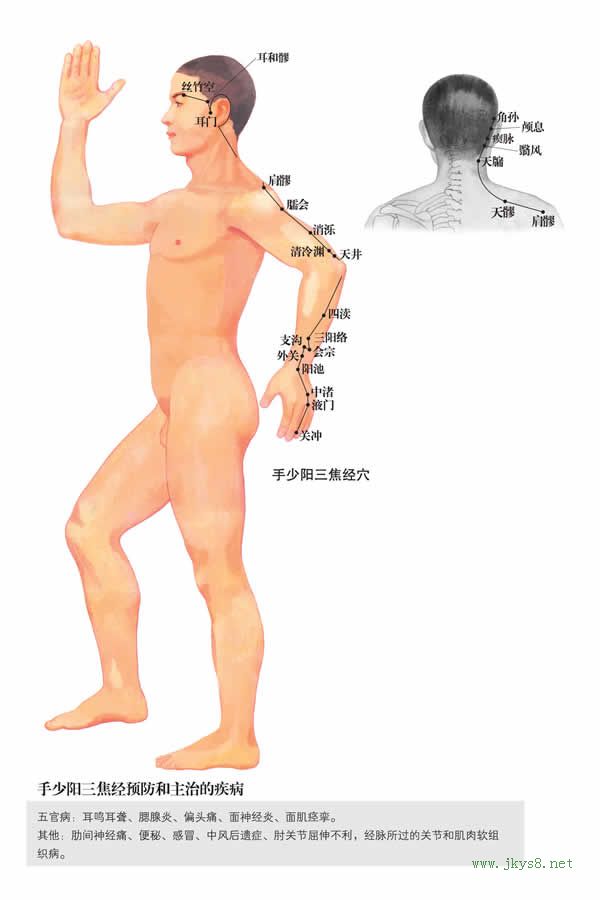 会宗穴：三焦经(图文)