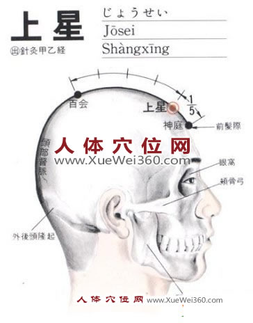 上星穴位的位置剖析图