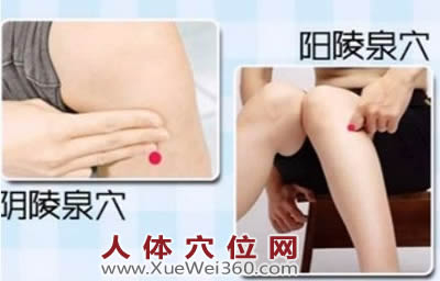 阴陵泉穴的准确位置图