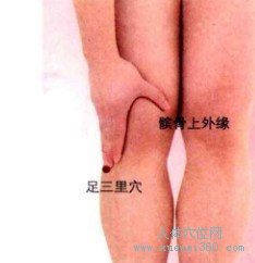 <a href='http://www.liuyanbao.net/rentixueweichaxun/689.html' target='_blank'><u>足三里</u></a>穴：胃经(图文)