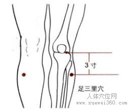 <a href='http://www.liuyanbao.net/rentixueweichaxun/689.html' target='_blank'><u>足三里</u></a>穴：胃经(图文)