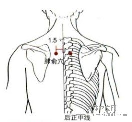 肺俞穴：膀胱经(图文)