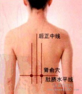 肾俞穴：膀胱经(图文)