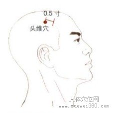 头维穴：胃经(图文)