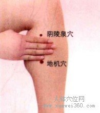 地机穴：脾经(图文)