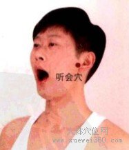 听会穴：胆经(图文)