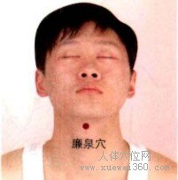 廉泉穴：任脉(图文)