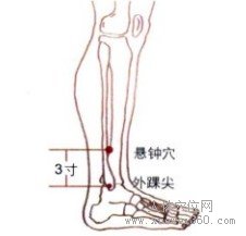 悬钟穴：胆经(图文)