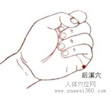 精确定位后溪穴