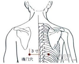 精确定位魂门穴