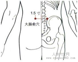 精确定位大肠俞穴
