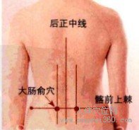 大肠俞穴的取穴窍门