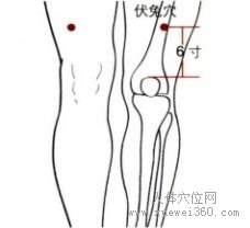 精确定位伏兔穴