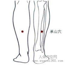 精确定位承山穴