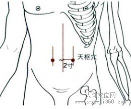 精确定位天枢穴