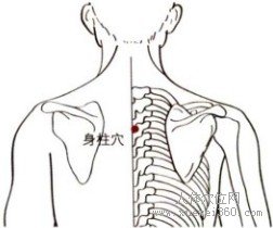 精确定位身柱穴