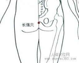 精确定位长强穴