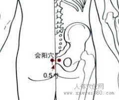 精确定位会阳穴