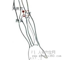 精确定位天井穴
