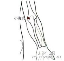 精确定位小海穴
