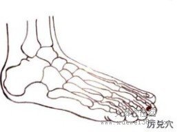 精确定位历兑穴