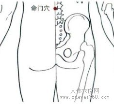 精确定位命门穴