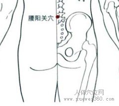 精确定位腰阳关穴