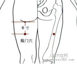精确定位殷门穴