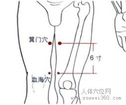 精确定位箕门穴