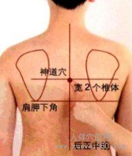 神道穴的取穴窍门