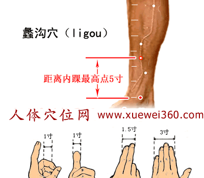 蠡沟穴