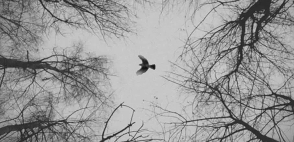 领导说辛苦了最佳回复微信