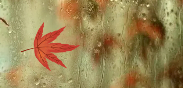 分手后纠缠多次还能和好吗