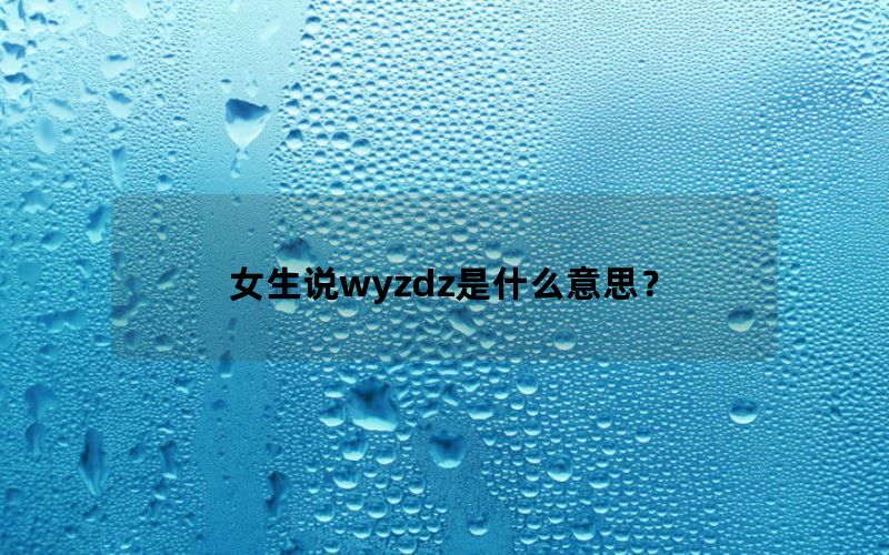 女生说wyzdz是什么意思？
