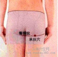 取穴窍门承扶穴