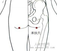 精确定位承扶穴