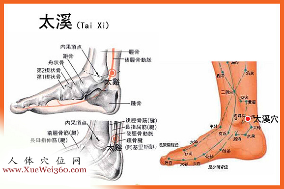 太溪穴