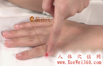 前谷穴位位置图