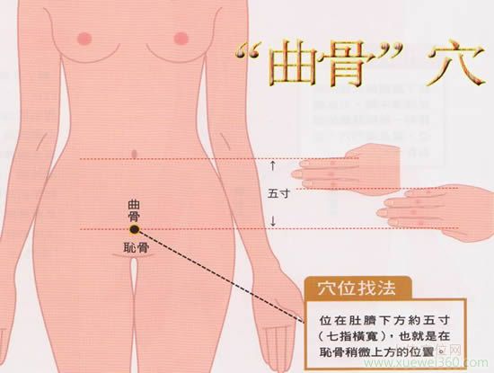 曲骨穴位位置图