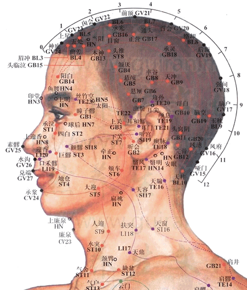 风府穴：督脉(图文)
