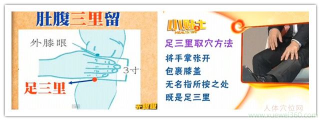 <a href='http://www.liuyanbao.net/rentixueweichaxun/689.html' target='_blank'><u>足三里</u></a>的取穴方法（准确位置图）