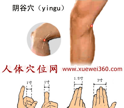 阴谷穴