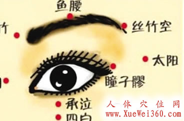 丝竹空穴位位置图