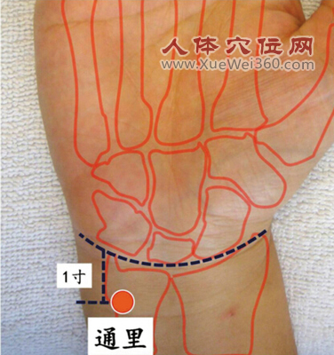 通里穴位位置图